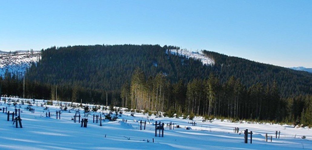 Aktivity - Janské Lázně - Běžecké lyžování 2