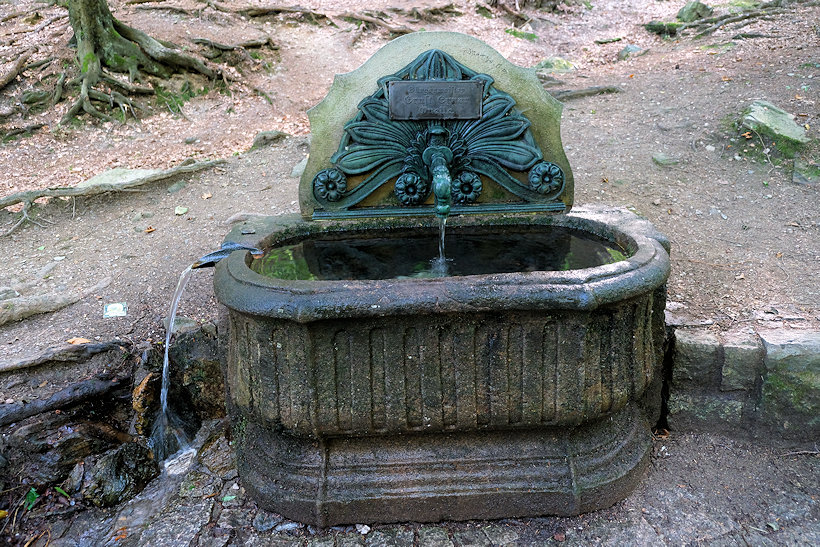 Pěší turistika - Janské Lázně 5 - Starostuv pramen